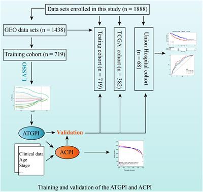 Development and Validation of a Prognostic Autophagy-Related Gene Pair Index Related to Tumor-Infiltrating Lymphocytes in Early-Stage Lung Adenocarcinoma